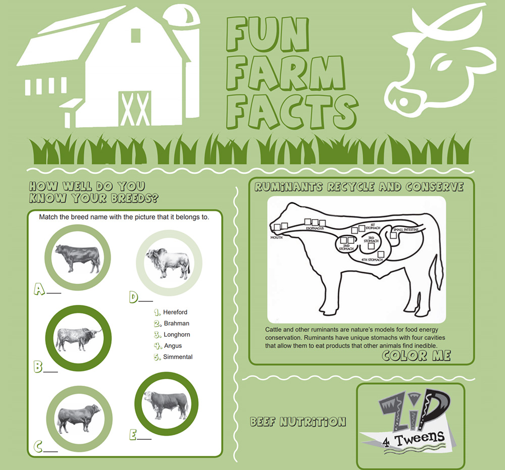 Fun Farm Facts