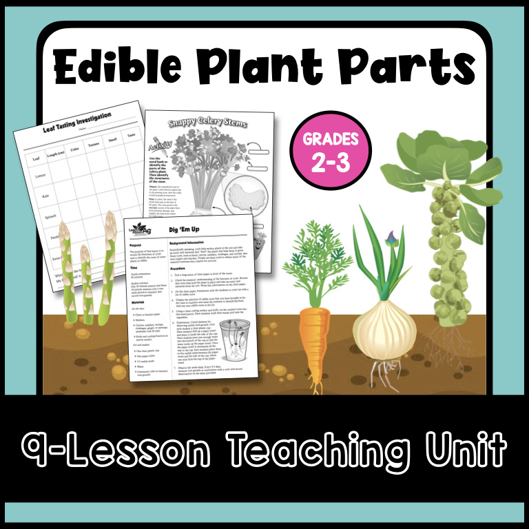 Edible Plant Parts Lesson Plan