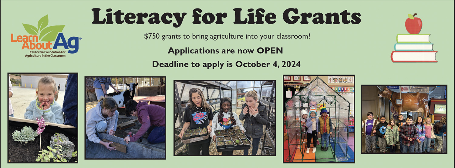 Literacy for Life Grants